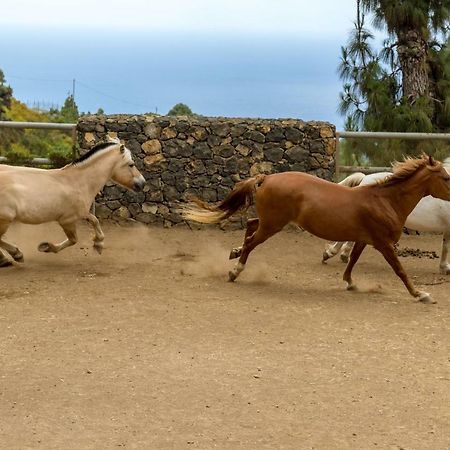 Riendas Vivas La Guancha Exteriér fotografie